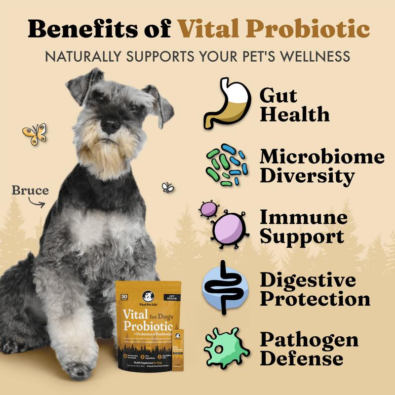 Vital Pet Life Vital Probiotics for Dogs