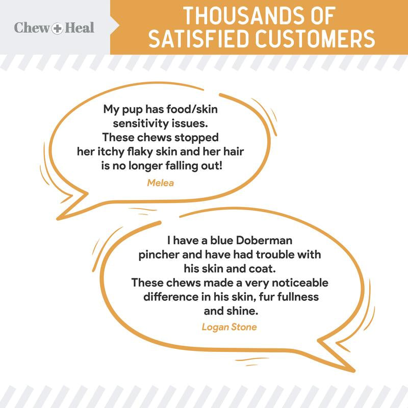 Coat Dog Supplement Soft Chews