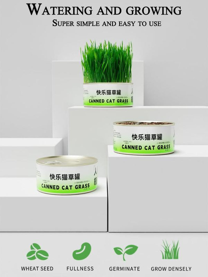 Organic Cat Grass Seeds Pack