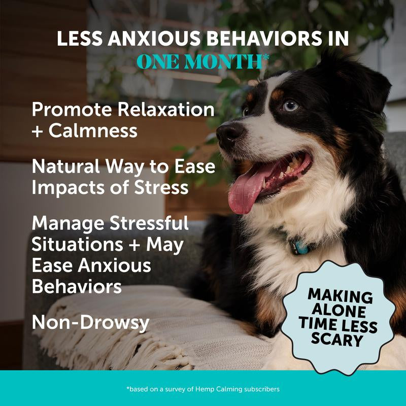 Hemp Calming Chews for Dogs (Chicken Flavor)