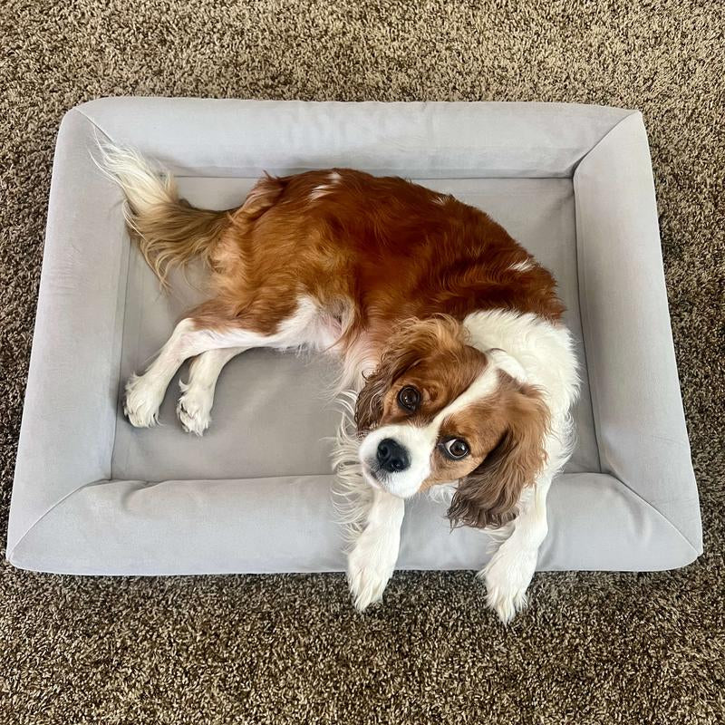 Orthopedic Memory Foam Bed for Dogs