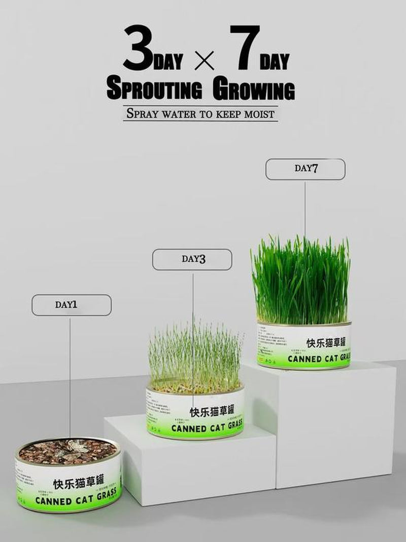 Organic Cat Grass Seeds Pack