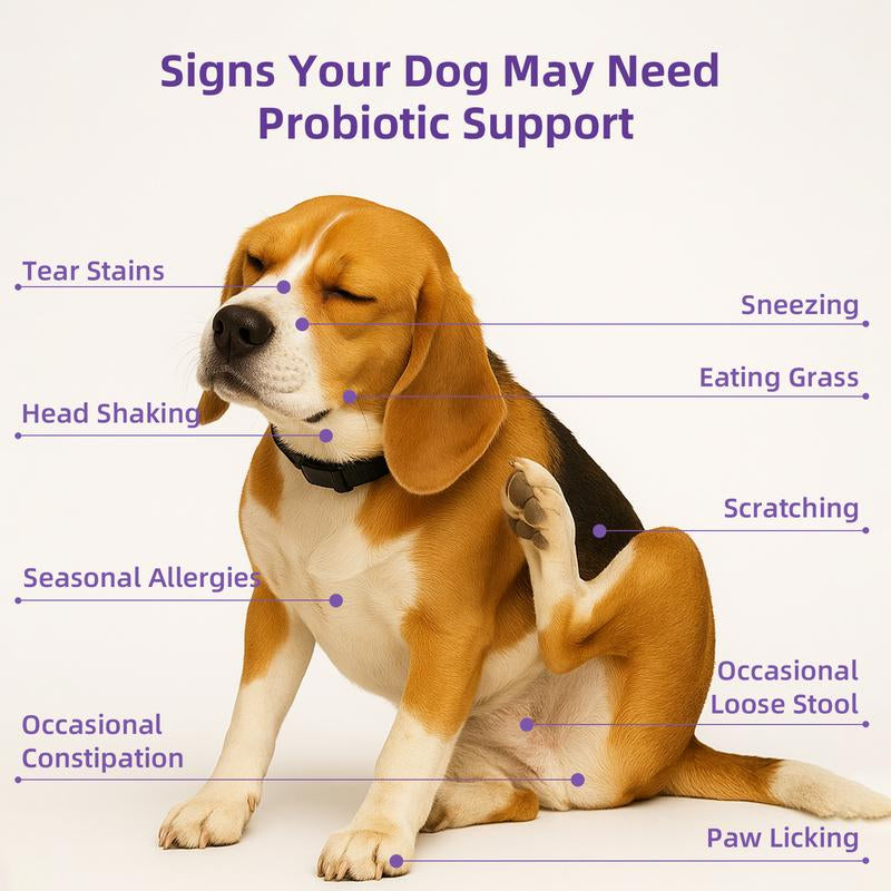 8-In-1 Multivitamin Soft Chews for Dogs