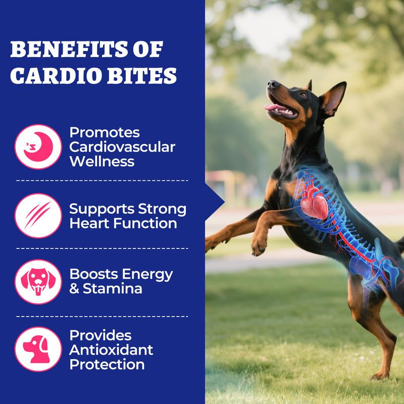 Wellix 260-Count Dog Cardio Bites