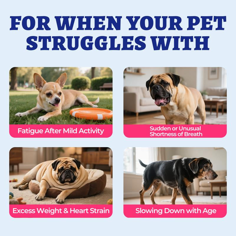 Wellix 260-Count Dog Cardio Bites