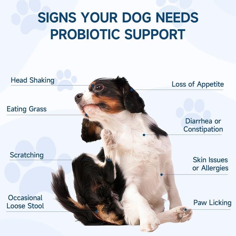Dog Probiotic Soft Chews