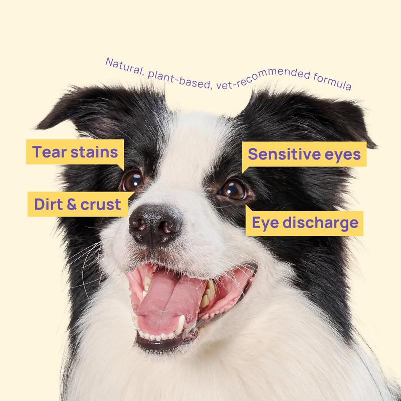 【Falldealsforyou】Hicc PET Eye Wipes for Dogs & Cats, Hypoallergenic Dog Eye Wipes Cleaner, Natural Cleaning Grooming Pet Wipes Gently Remove Tear Stain, Eye Debris, Discharge, Mucus, Non-Irritating, Unscent, 100 PCS Large Pet Grooming Eye#Petlife