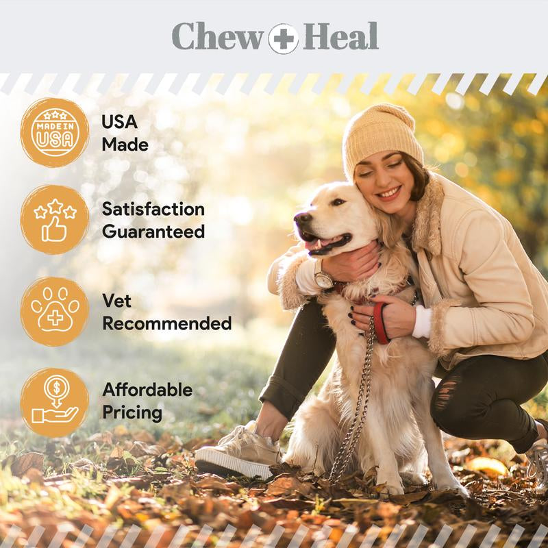 Coat Dog Supplement Soft Chews