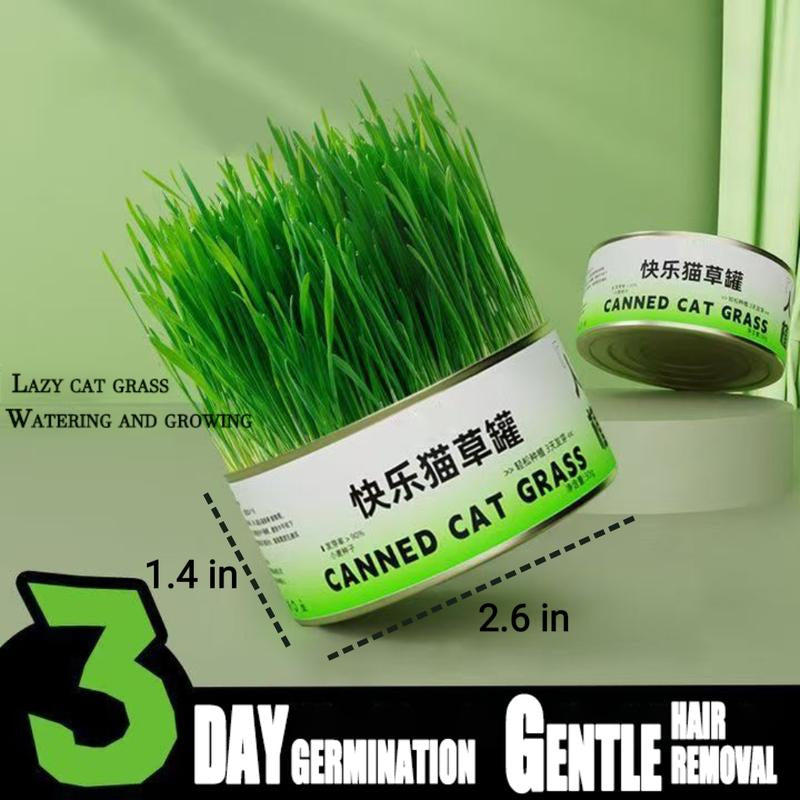 Organic Cat Grass Seeds Pack