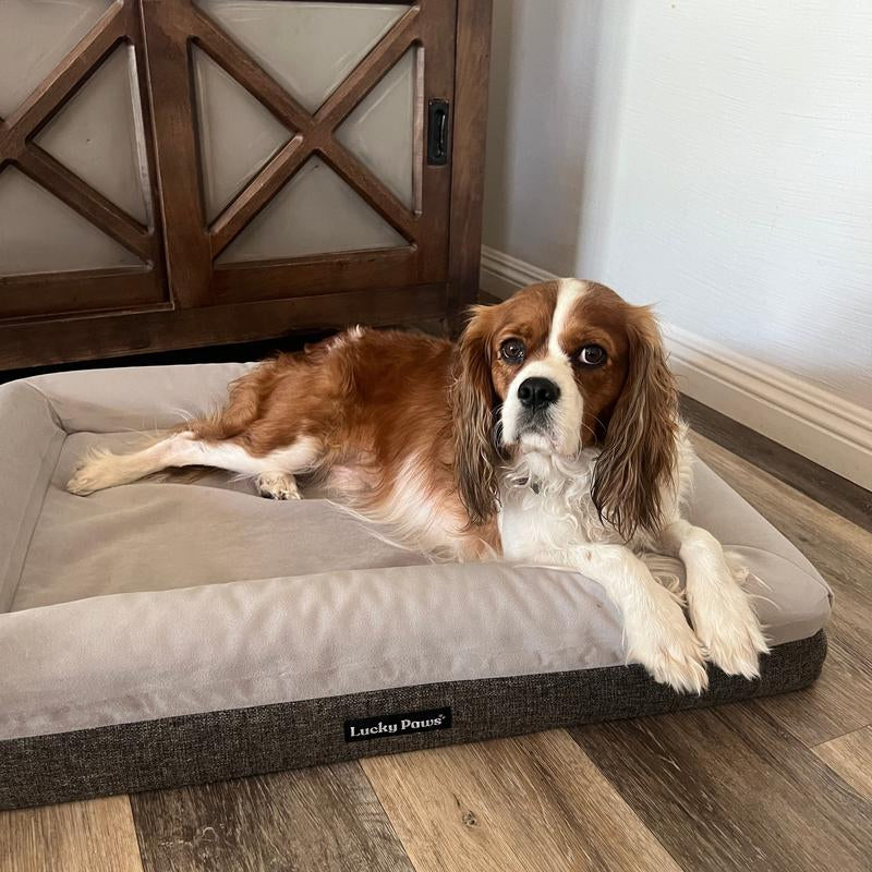 Orthopedic Memory Foam Bed for Dogs
