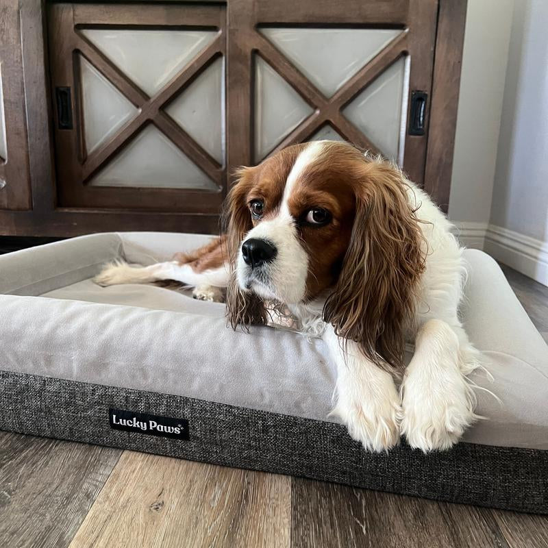 Orthopedic Memory Foam Bed for Dogs