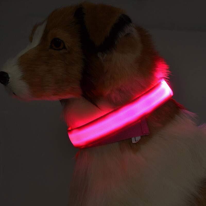 Nylon LED Pet Dog Luminous Collar Night Safety