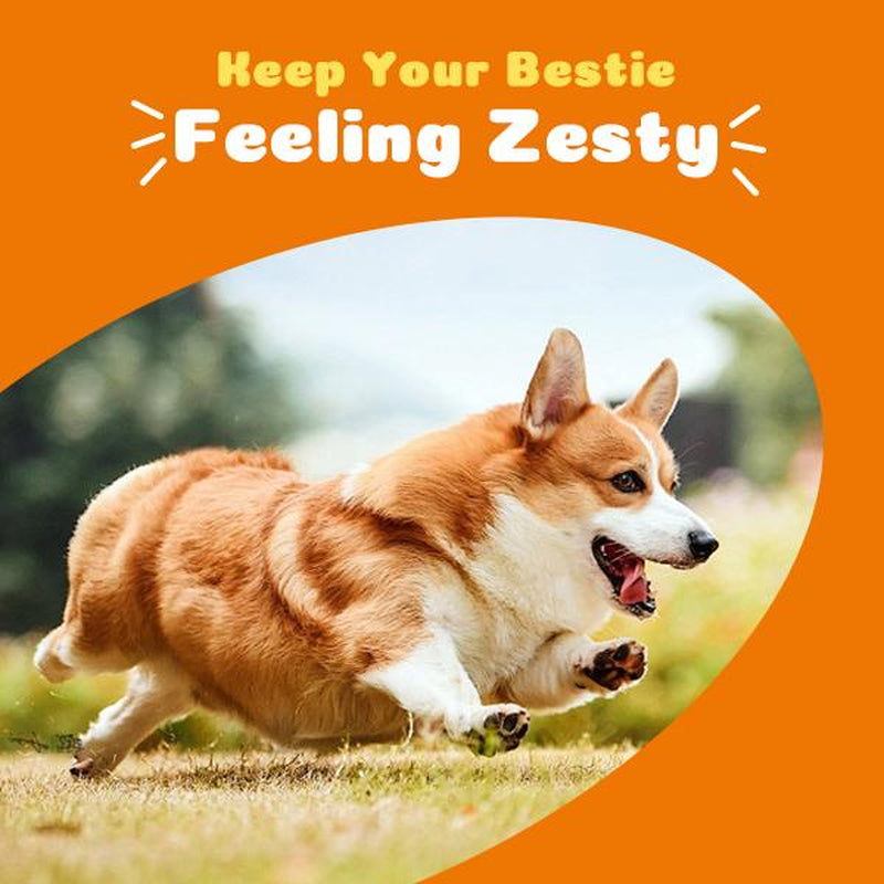 Family Size Petdaddy Chewable Dog Multivitamin