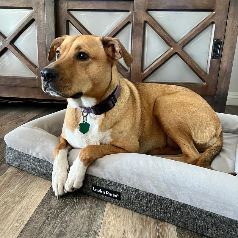 Orthopedic Memory Foam Bed for Dogs