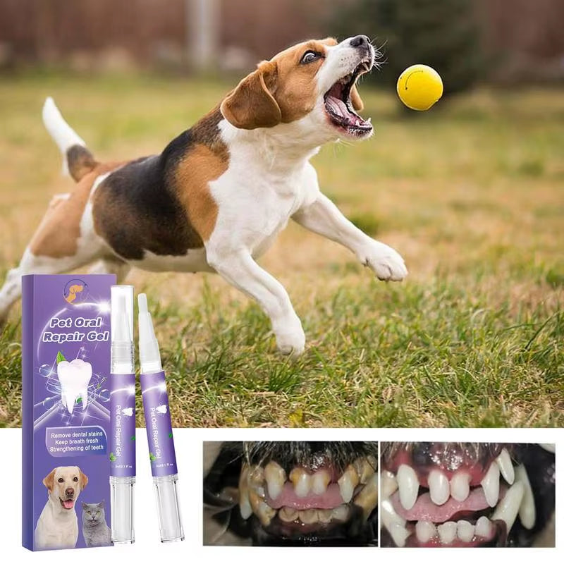Pet Oral Repair Gel Tooth Repair