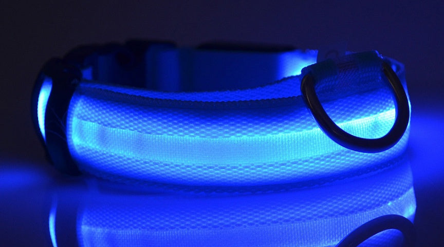 Nylon LED Pet Dog Luminous Collar Night Safety