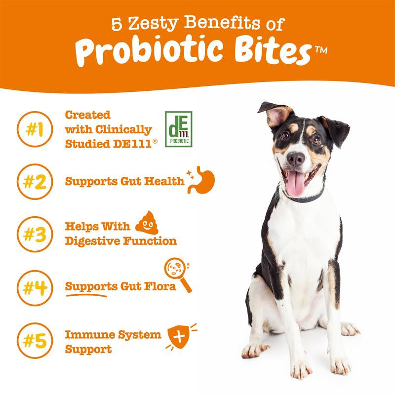 Probiotic Bites for Dogs by Probiotic Paws