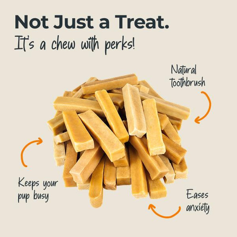 Yak Cheese Dog Chews: All-Natural Treats for Your Pup