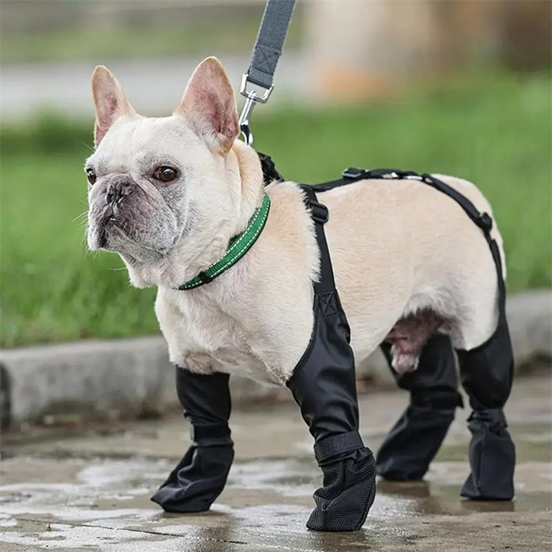 Waterproof Dog Shoes Adjustable