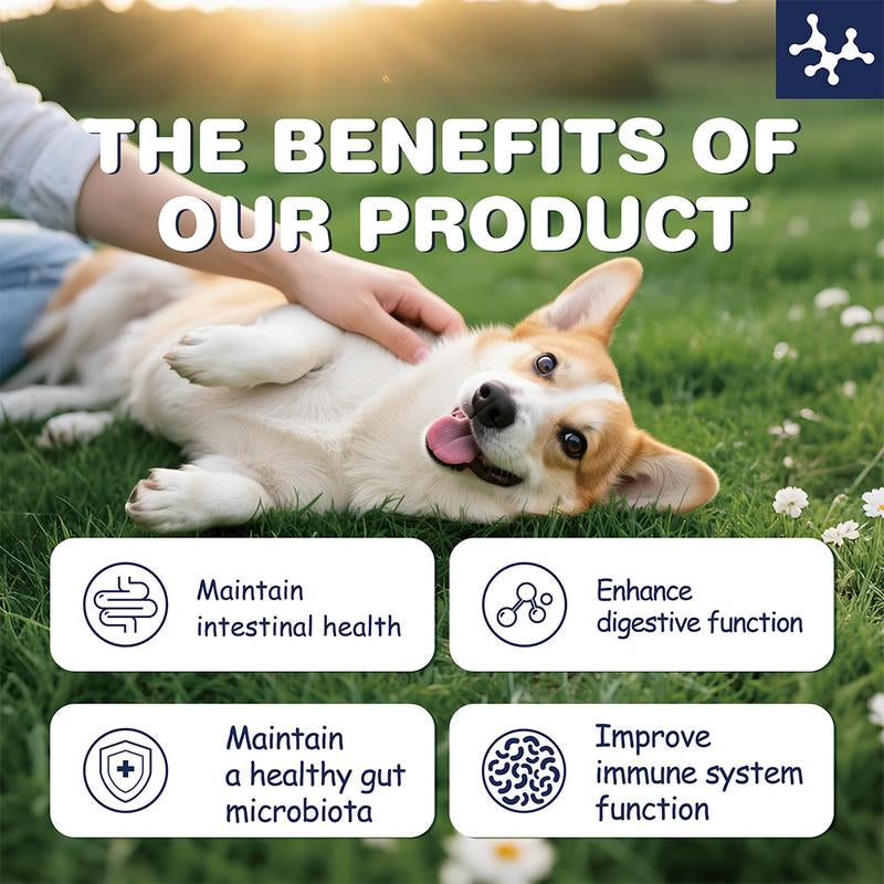 Probiotics for Dogs & Cats