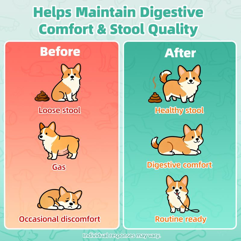 Dog Probiotics Powder with Turmeric 95%