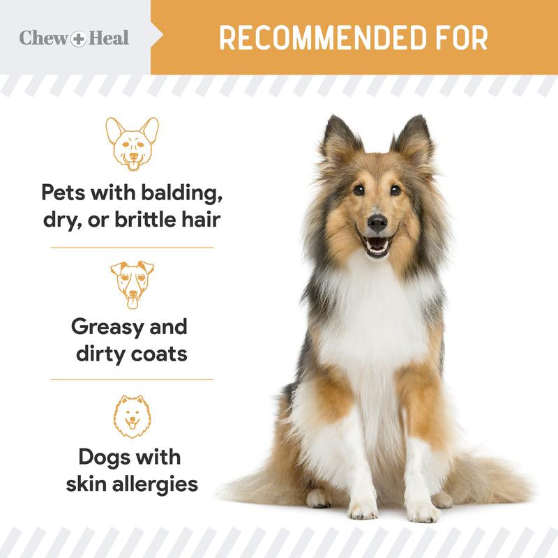 Coat Dog Supplement Soft Chews