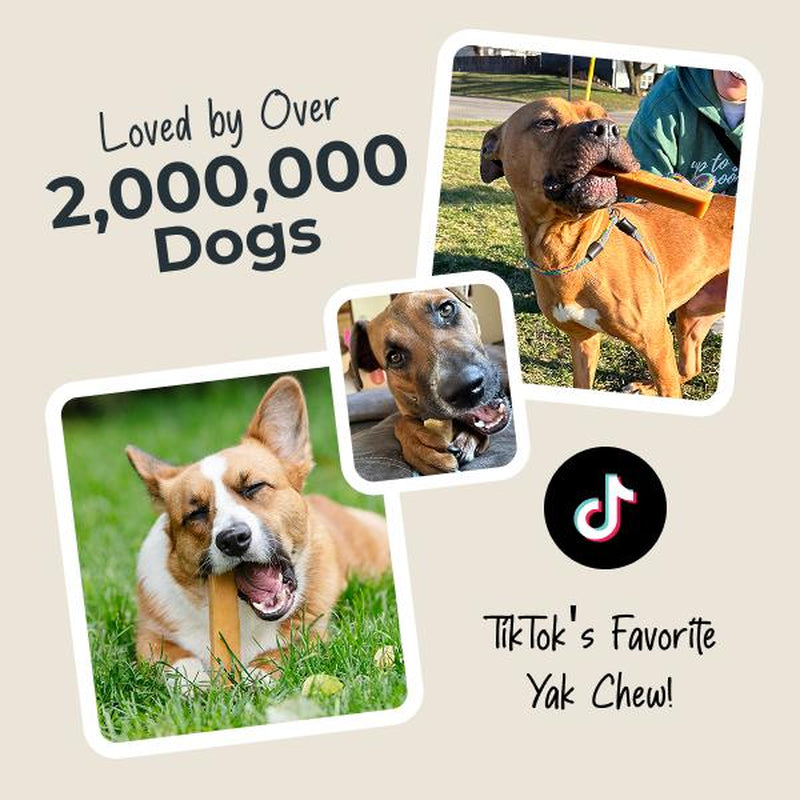 Yak Cheese Dog Chews: All-Natural Treats for Your Pup