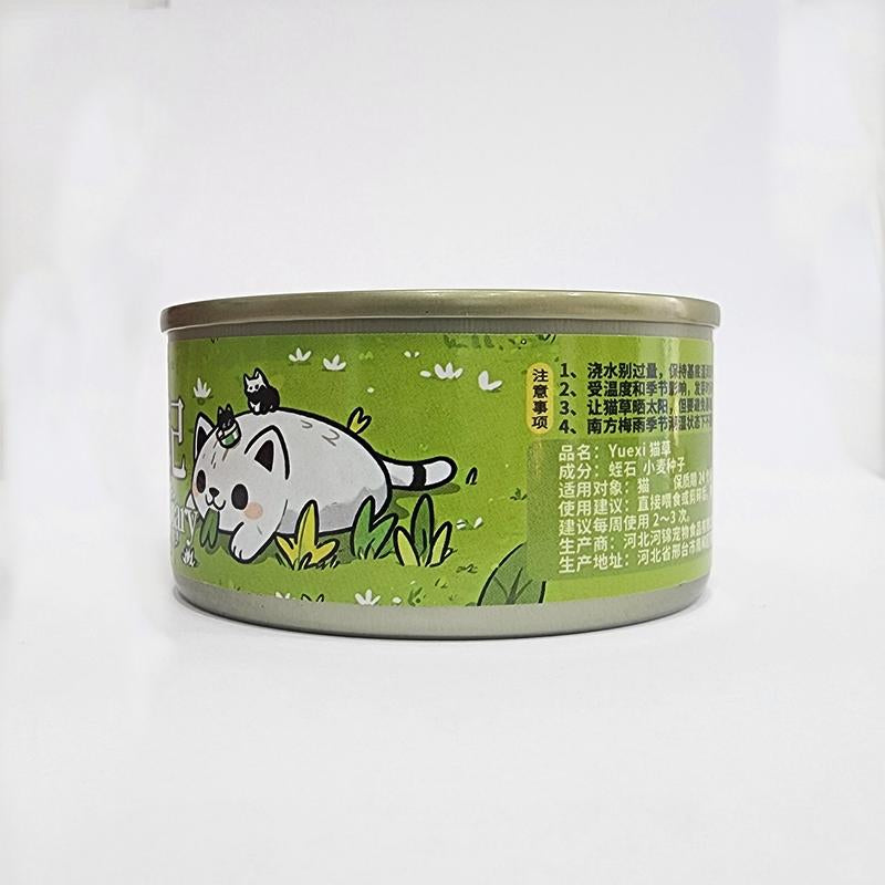 Organic Cat Grass Seeds Pack