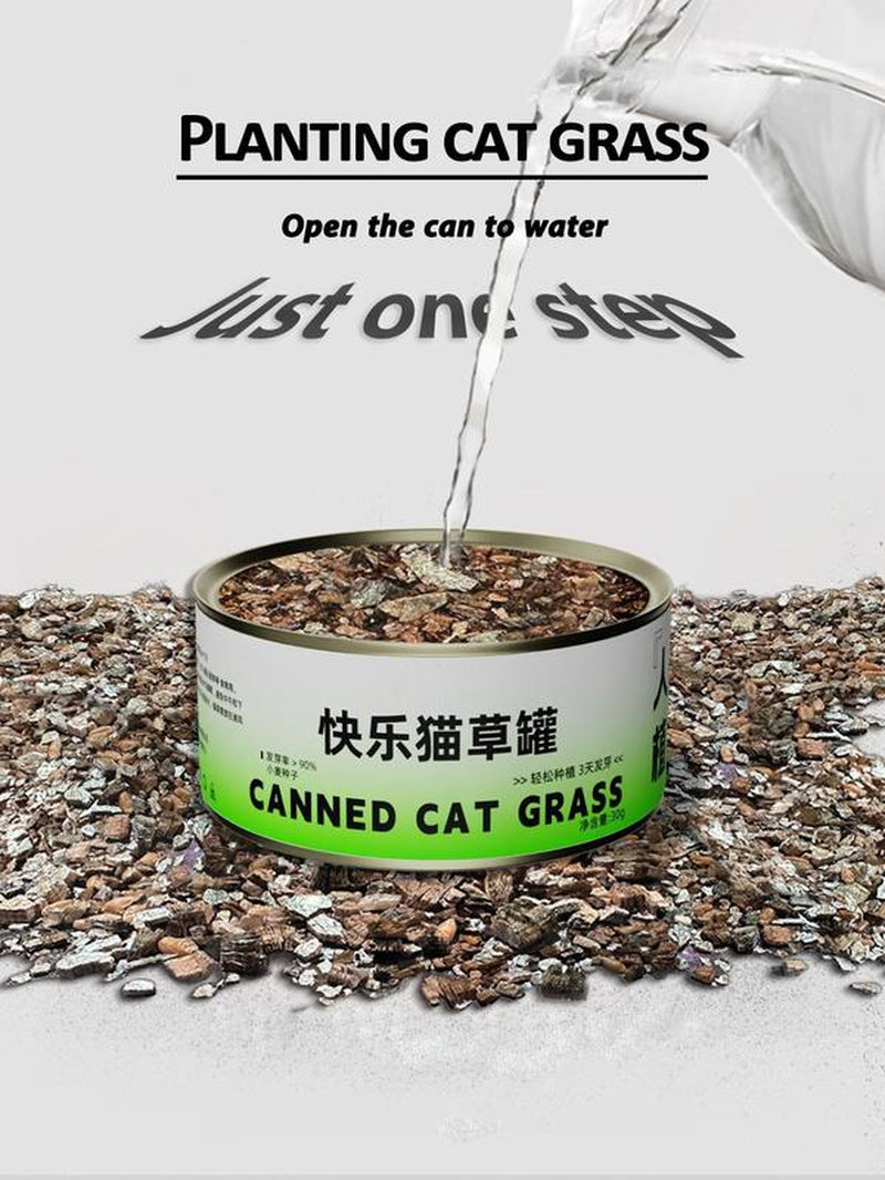 Organic Cat Grass Seeds Pack