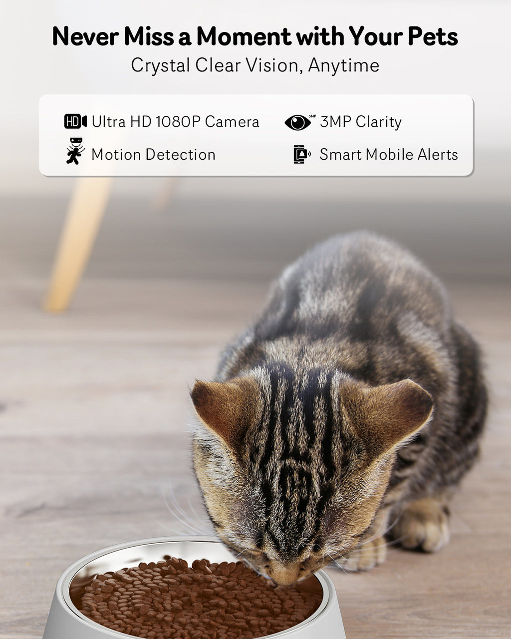 Automatic Cat Feeder With Camera, 1080P HD Video, Night Vision, 5G WiFi, 2-Way Audio, 10s Voice Recorder
