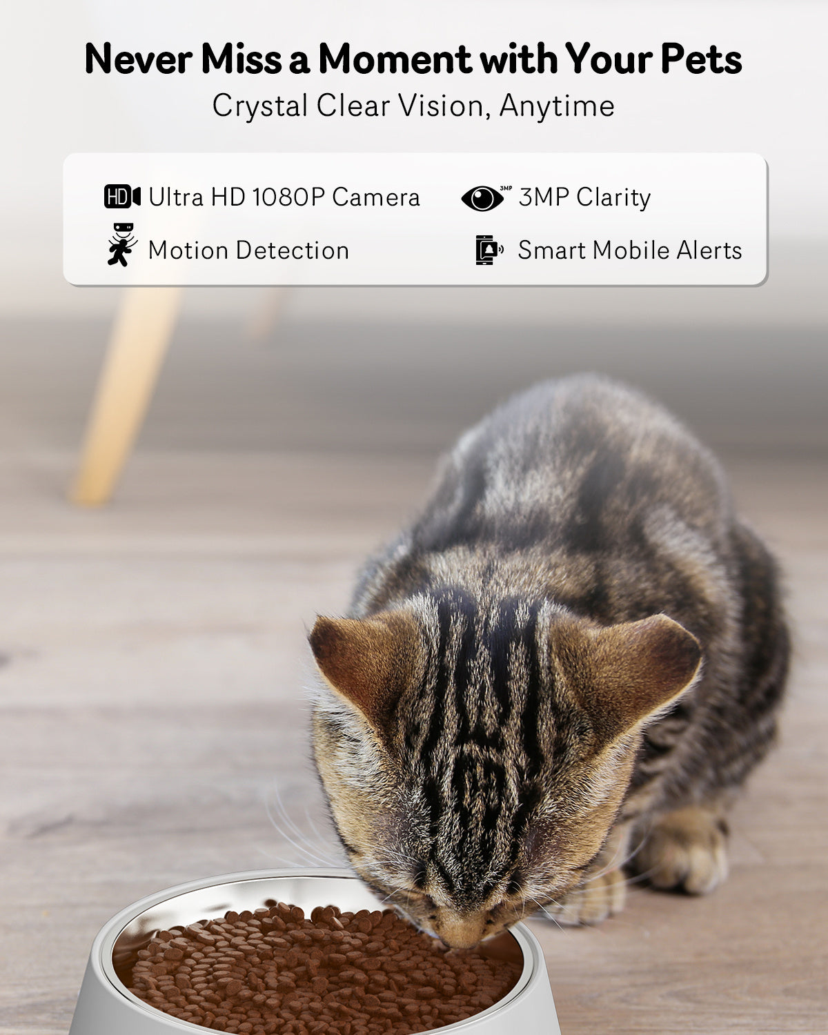 Automatic Cat Feeder With Camera, 1080P HD Video, Night Vision, 5G WiFi, 2-Way Audio, 10s Voice Recorder