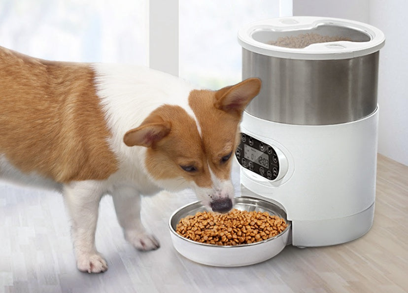 Smart APP Pet Feeder Cat And Dog Food Automatic Dispenser