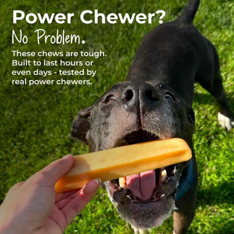 Yak Cheese Dog Chews: All-Natural Treats for Your Pup