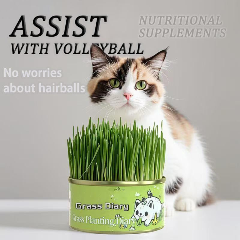 Organic Cat Grass Seeds Pack