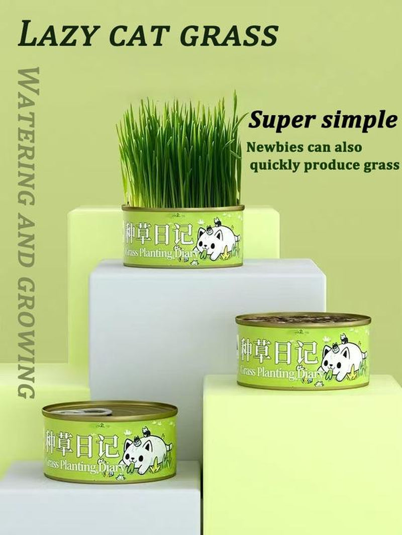 Organic Cat Grass Seeds Pack