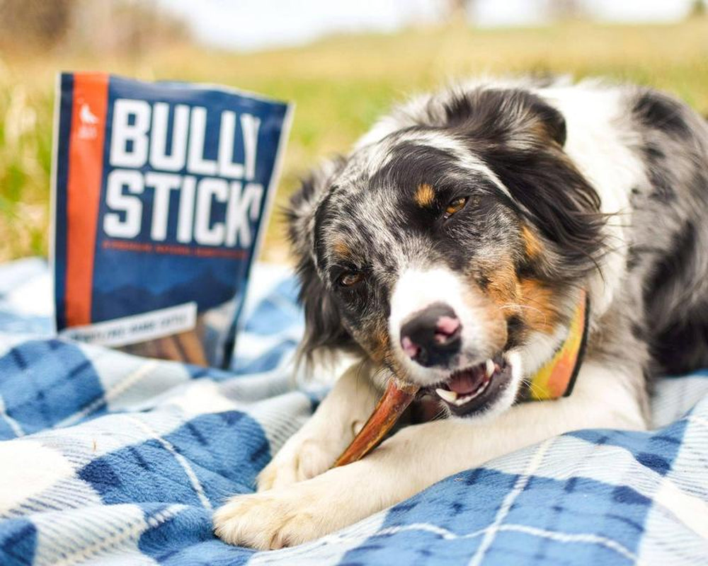Thick Bully Stick Rings (7 Pack) Healthy, All-Natural, Long-Lasting Dog Chew Bones - Low Odor- Mixed Thickness High Protein Treats
