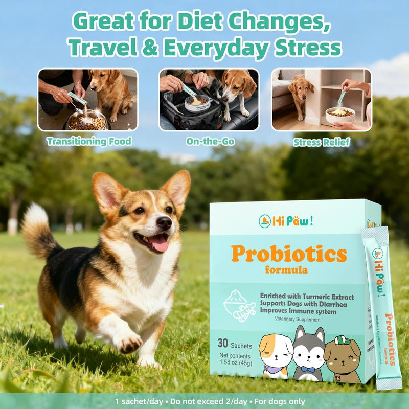 Dog Probiotics Powder with Turmeric 95%