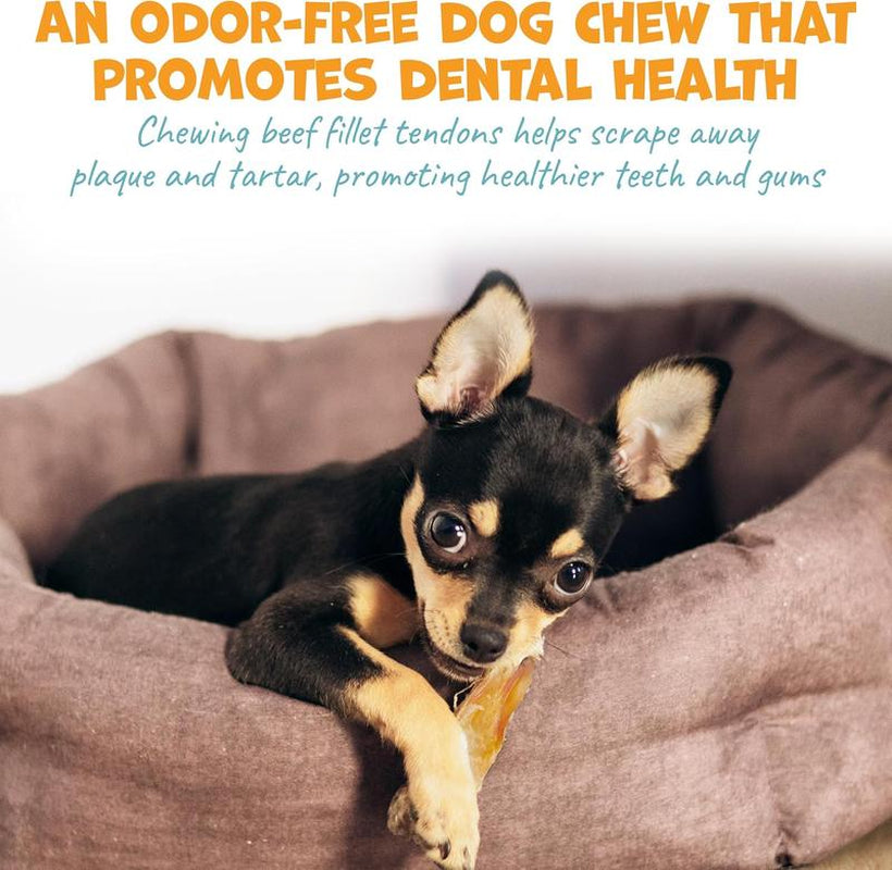 Beef Fillet Tendons for Dogs